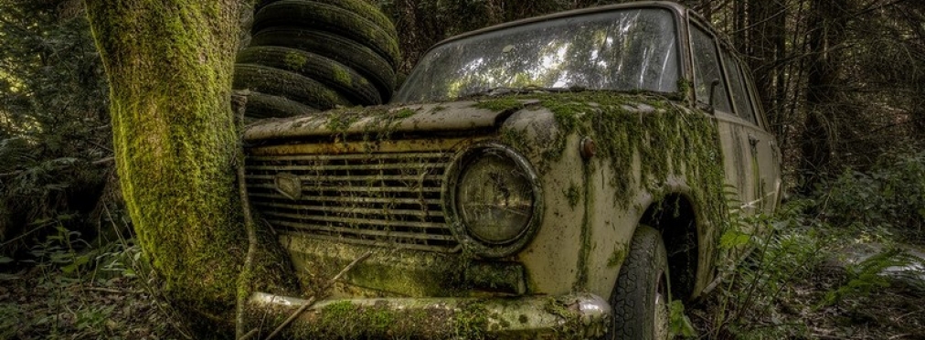 В Украине нашли заброшенный автомобиль, поросший кустами