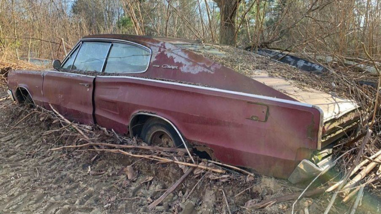 Легендарные Dodge Charger обнаружили брошенными в лесу 2