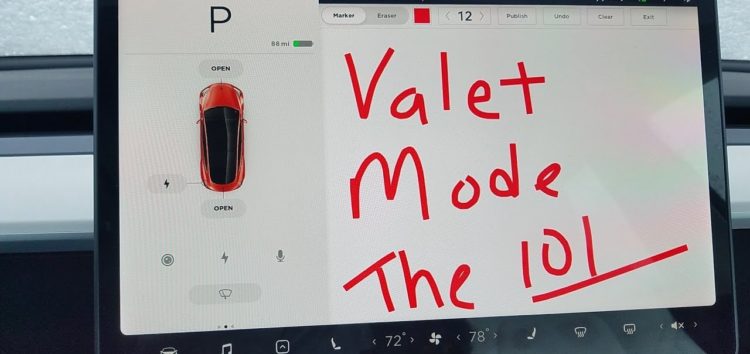 Очень умная Tesla: владелица Model 3 напугала угонщиков приложением 1