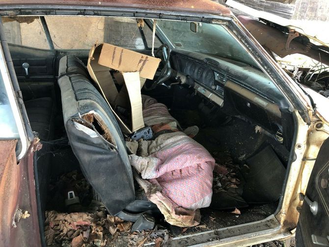 Бесхозная Chevrolet Impala простояла в поле под навесом 35 лет 3