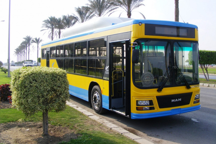 В Каире появятся газовые автобусы MAN с египетскими кузовами 1