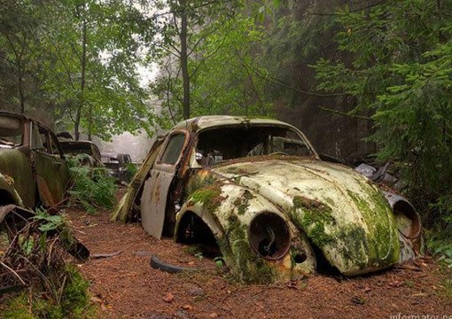 В Бельгии найдено огромное количество заброшенных ретро автомобилей 1