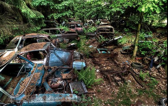 В Бельгии найдено огромное количество заброшенных ретро автомобилей 3