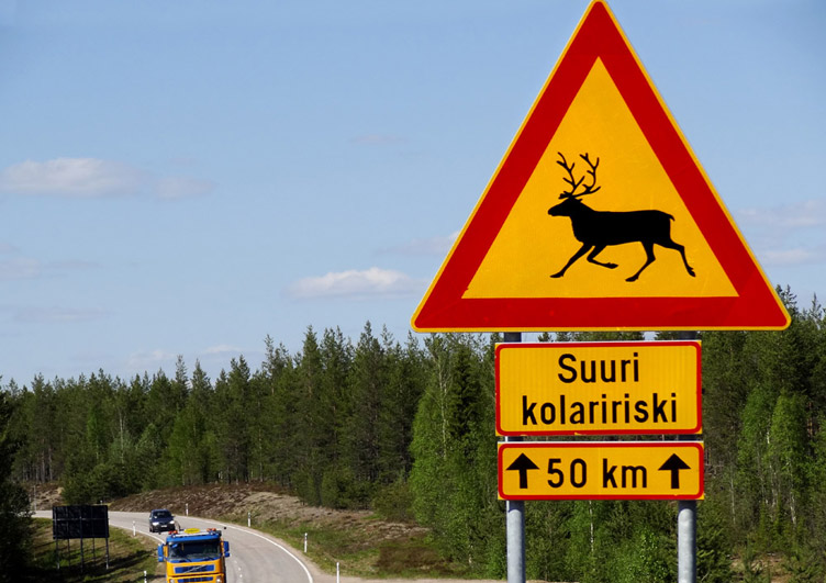 Финские водители получат «оленьи» звоночки 1