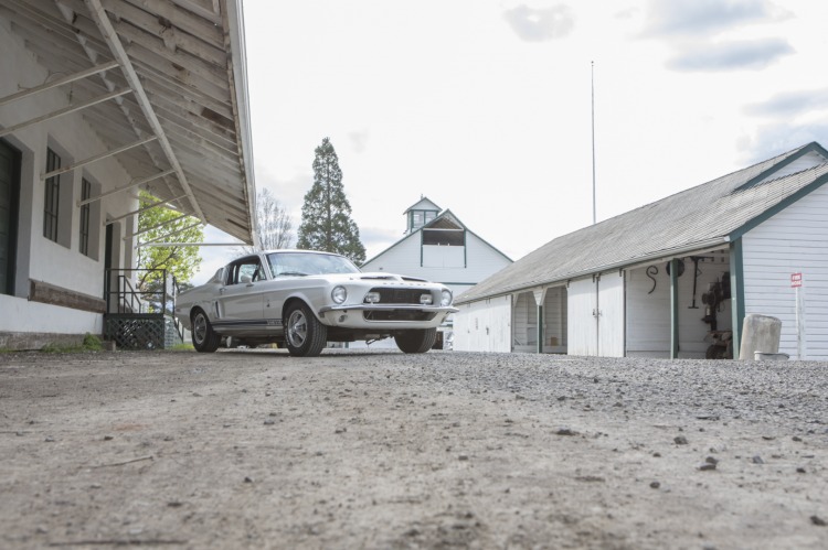 Shelby GT 500 нашли спустя 40 лет после угона 3