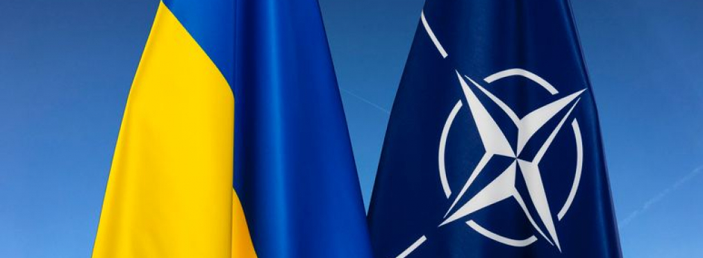 9 из 30 стран-участниц НАТО выступили с поддержкой членства Украины в Альянсе