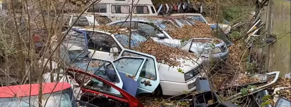 Невероятная находка: несколько десятков редких Volkswagen и Audi обнаружили в лесу