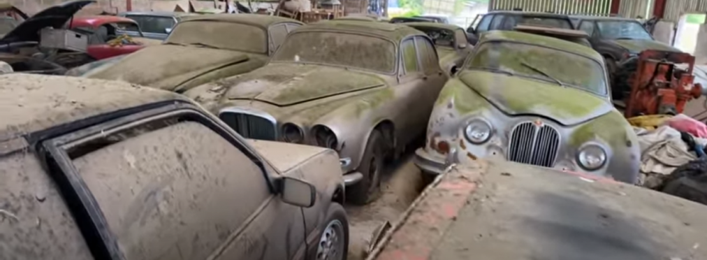 В лесу нашли заброшенную коллекцию автомобилей (видео)