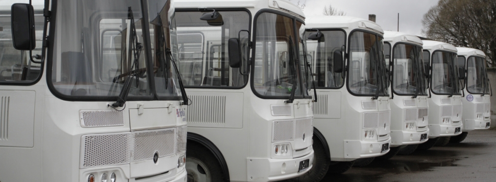 Украинские дороги «заполонили» автобусы из РФ