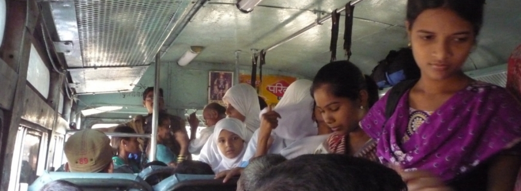 Обезьяна, автобус, Индия