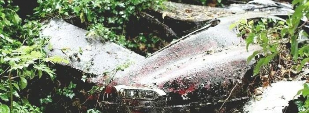 Винтажный Jaguar E-Type нашли в кустах и восстановили
