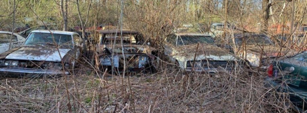 Легендарные Dodge Charger обнаружили брошенными в лесу