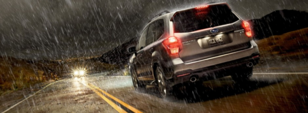 Как правильно водить авто в дождливую погоду: советует патрульная полиция