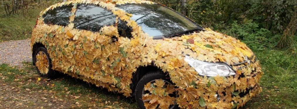 Фото-дня: «героя» парковки засыпало листвой