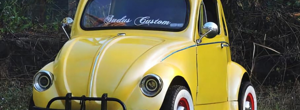 Механик из Индии собрал Volkswagen Beetle по фотографиям