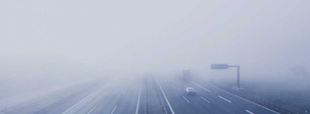 Как себя вести на дороге в туман