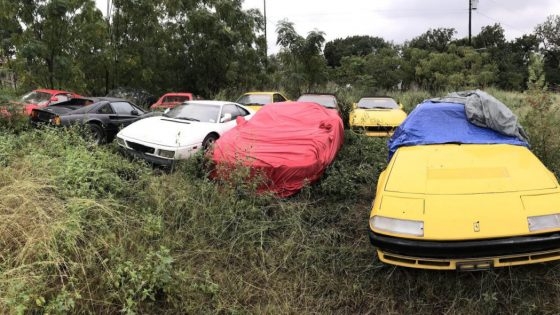 В поле нашли коллекцию брошенных классических Ferrari