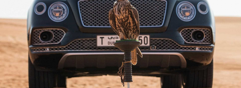 Bentley сделал внедорожник с насестом для птиц