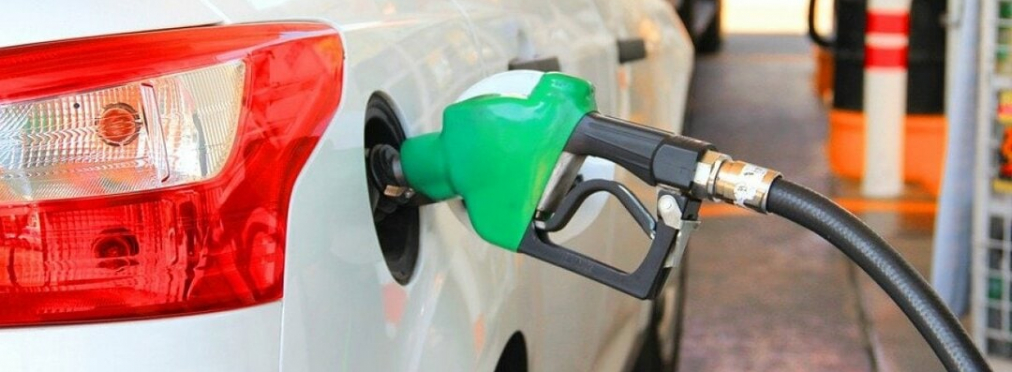 Цены на бензин и дизель в Украине стабильно высокие, а газ дешевеет, - мониторинг 