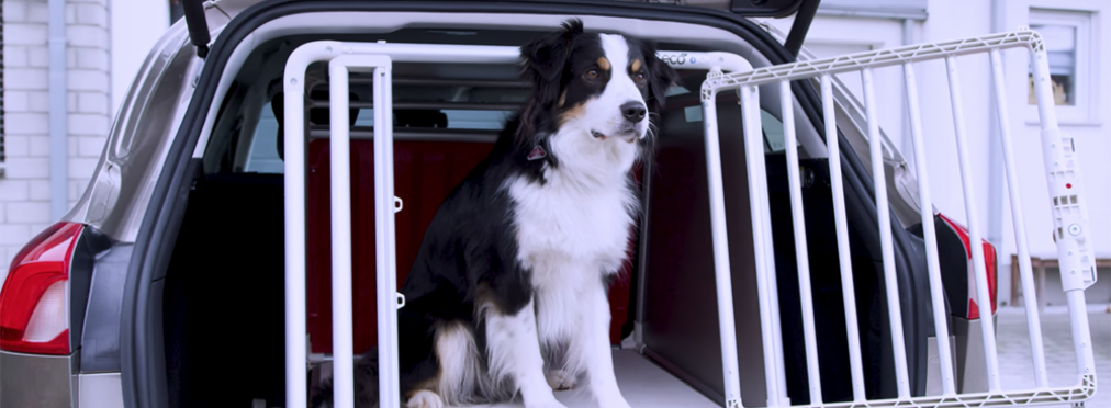 Форд разработал удобную клетку для собак в багажнике
