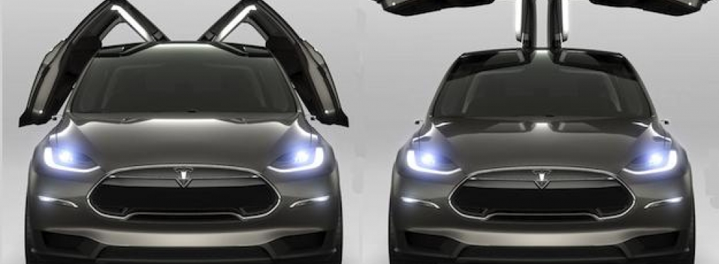 Автоледи требует у компании Tesla $1 млн