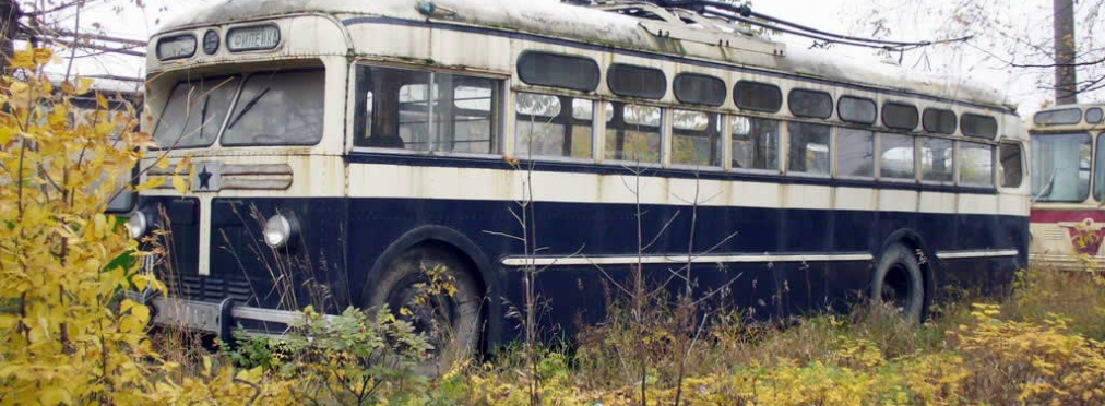 Житель РФ решил продать 45 троллейбусов «одним махом»