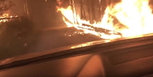 Спасение из горящего леса на машине сняли на видео