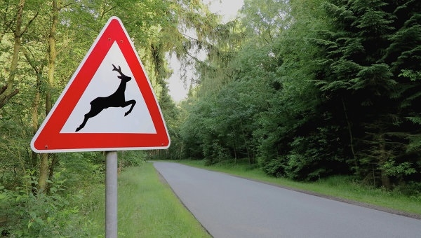 Для компании BMW разработали рекламные щиты, спасающие диких животных
