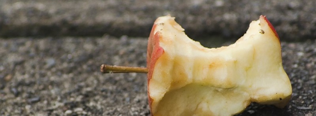 Выбрасывать огрызки яблок из машины оказалось опасно для природы