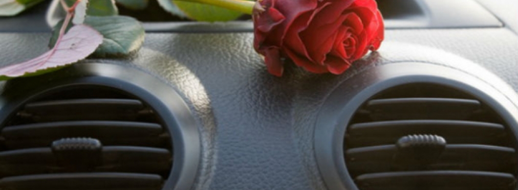 Достаточно ли Вы знаете о Запахе Вашего Автомобиля