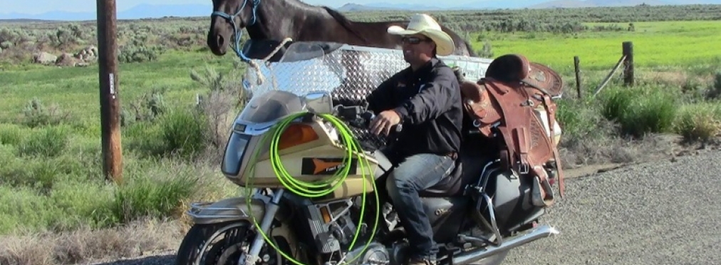 Как с помощью обычного мотоцикла перевозить лошадей