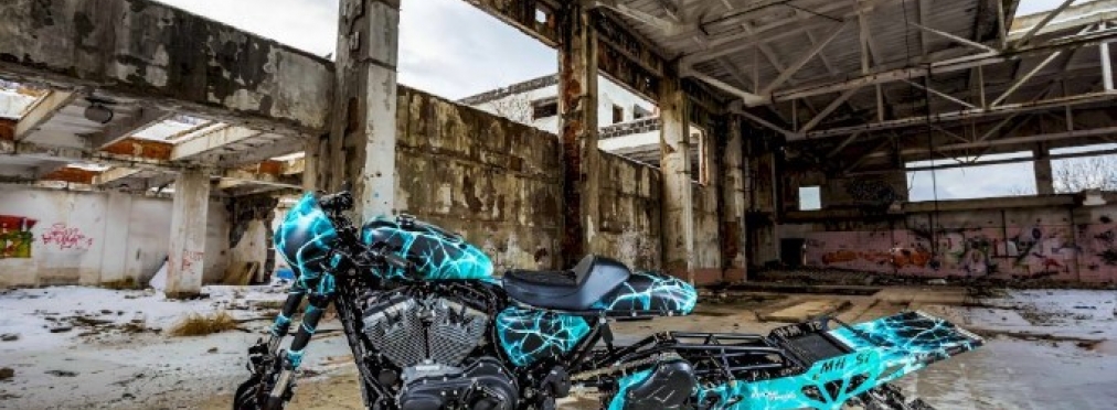 Как мотоцикл Harley-Davidson превратили в «снежную бестию»
