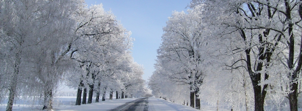 Семь мифов о вождении зимой