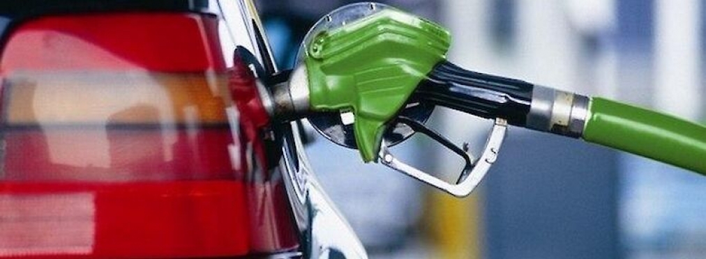 Сети АЗС пойдут на снижение цен на бензин
