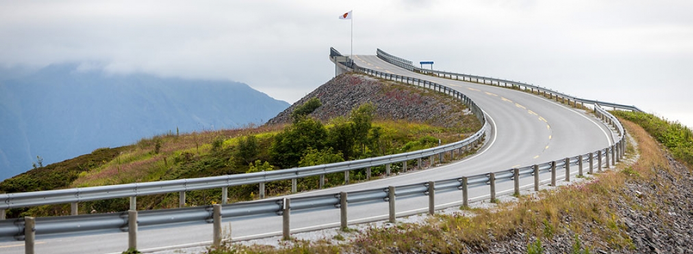 Норвегия запретит использование автомобилей с бензиновыми двигателями