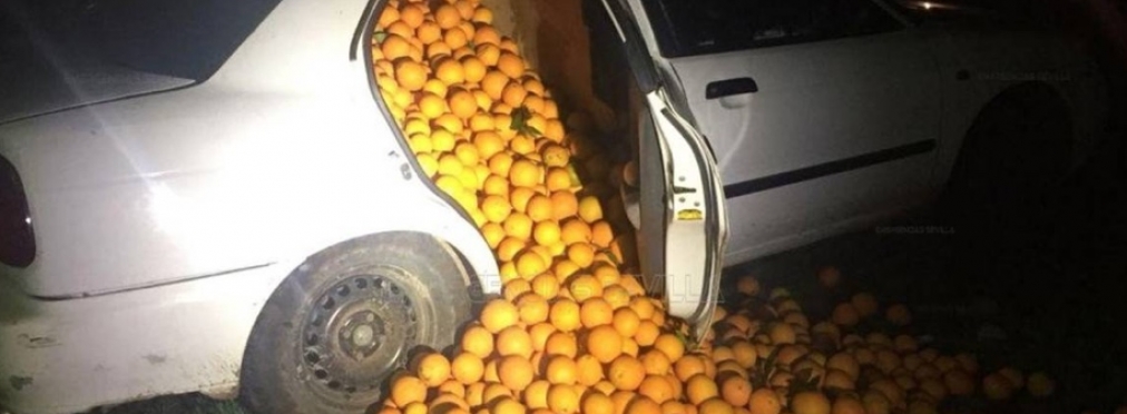 Полиция задержала три автомобиля, под завязку набитых украденными апельсинами
