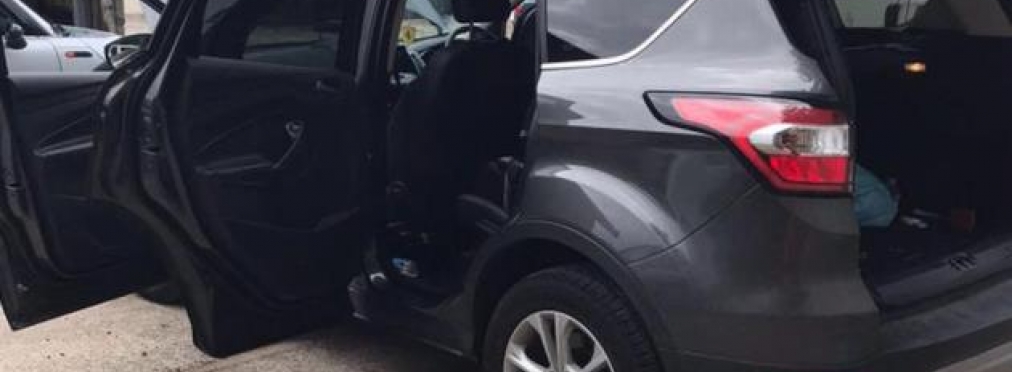 Скромный сирийский хомяк изгрыз в лоскуты автомобиль британки