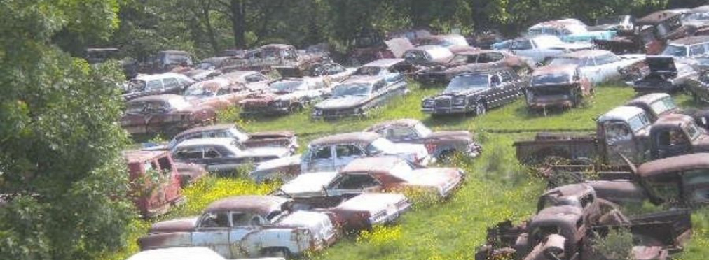 Под открытым небом обнаружили невероятную коллекцию из 800 брошенных классических автомобилей
