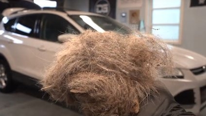 Во что превратится автомобиль, если его не мыть год (видео)