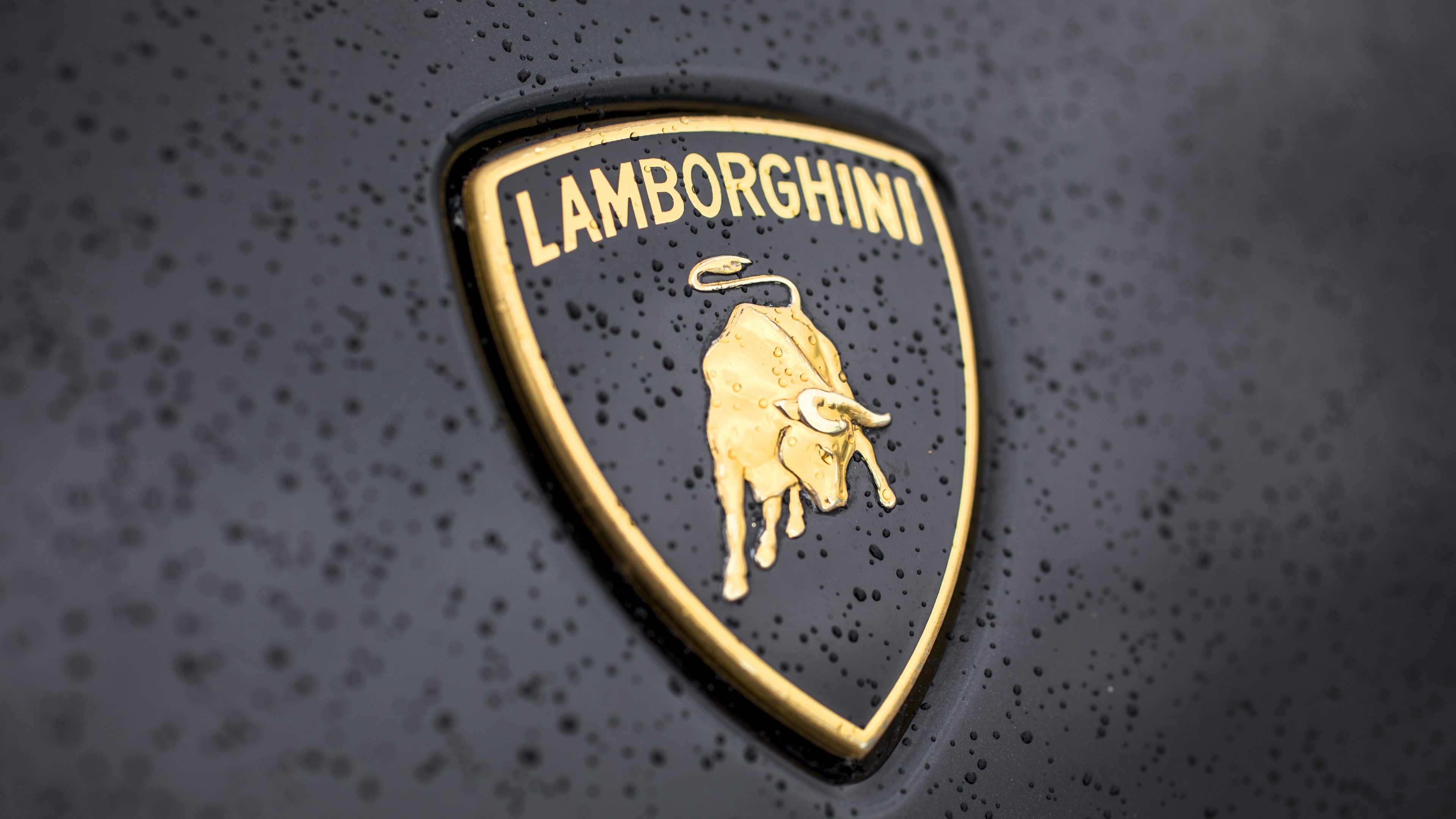 Новый значок ламборгини. Ламборгини обои эмблема. Значок машины Ламборджини. Марка Lamborghini. Обои марки Ламборджини.