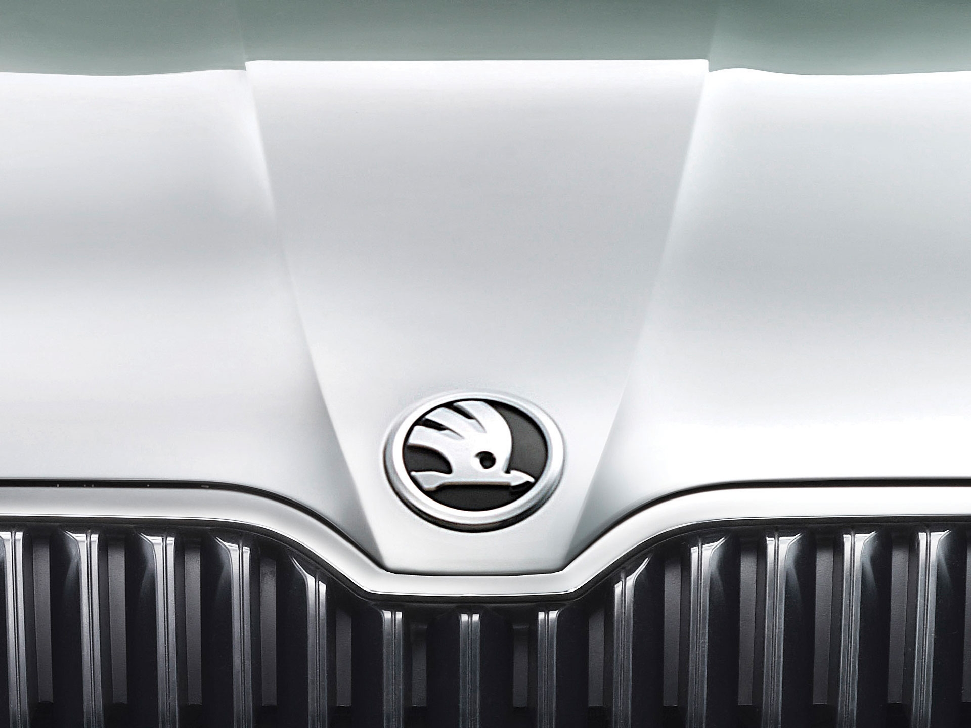 Шкода значок машины. Skoda Emblem. Шкода Октавия лого. Шкода лого Superb. Skoda logo 2020.