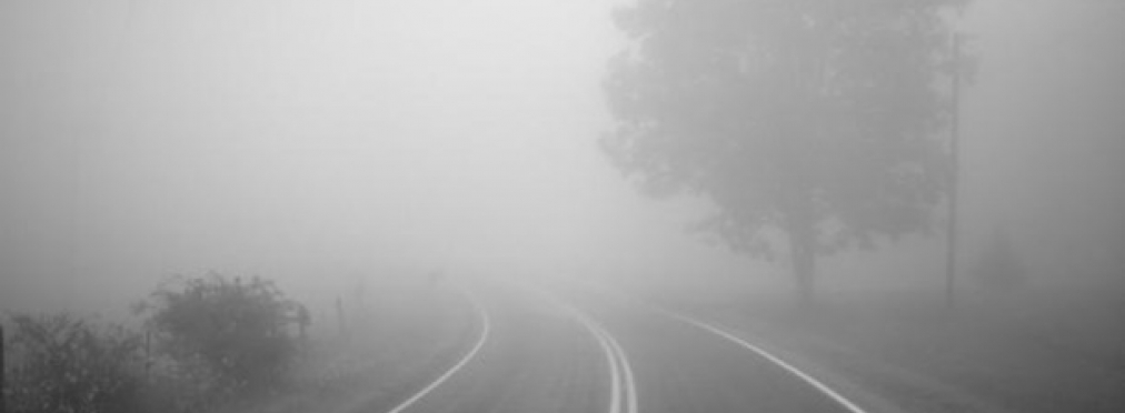 Беспилотные автомобили будут «видеть» сквозь туман