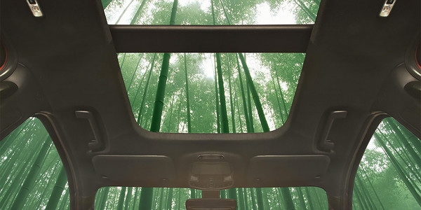 Эко-автомобили: новый Ford «сделают из бамбука»